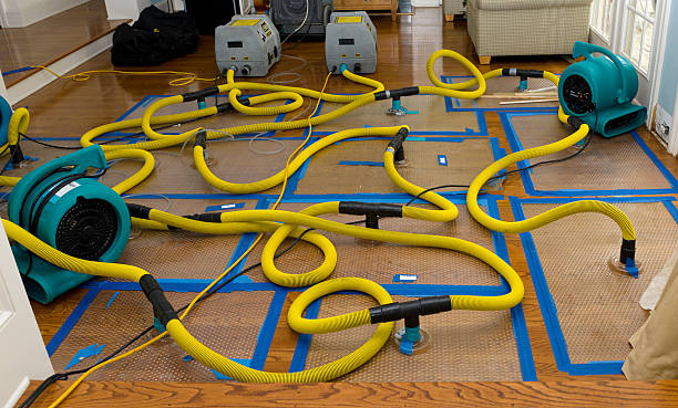 Professional Water Damage Restoration technician working in Brownsville, TX